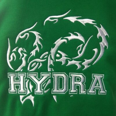 regular embroidery 2